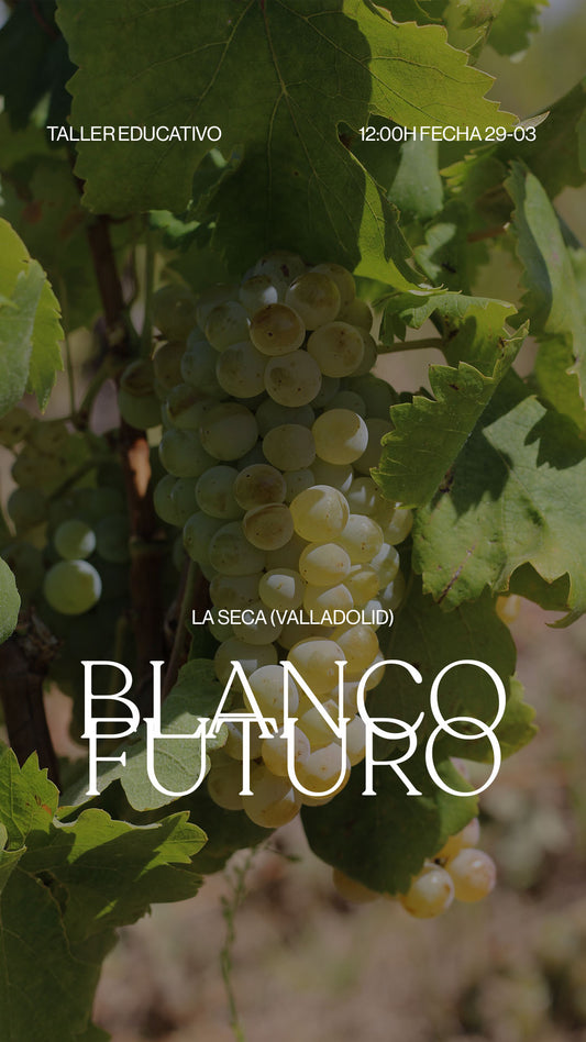 Blanco Futuro